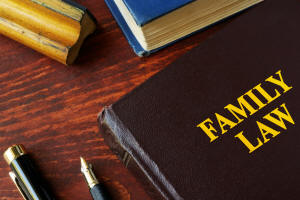Tampa family law practice areas